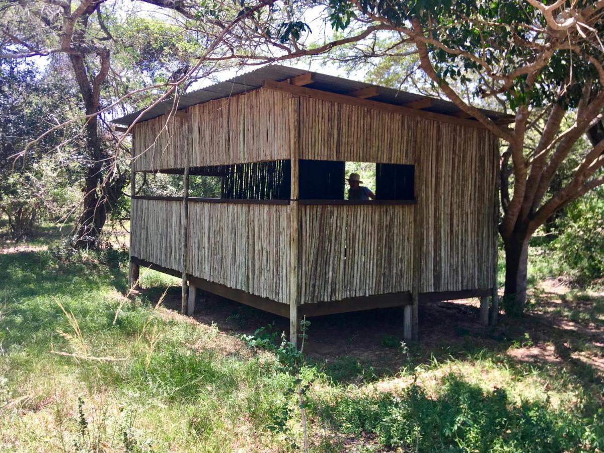 Imani Bush House & Silver Sky Chalet Hluhluwe Bagian luar foto