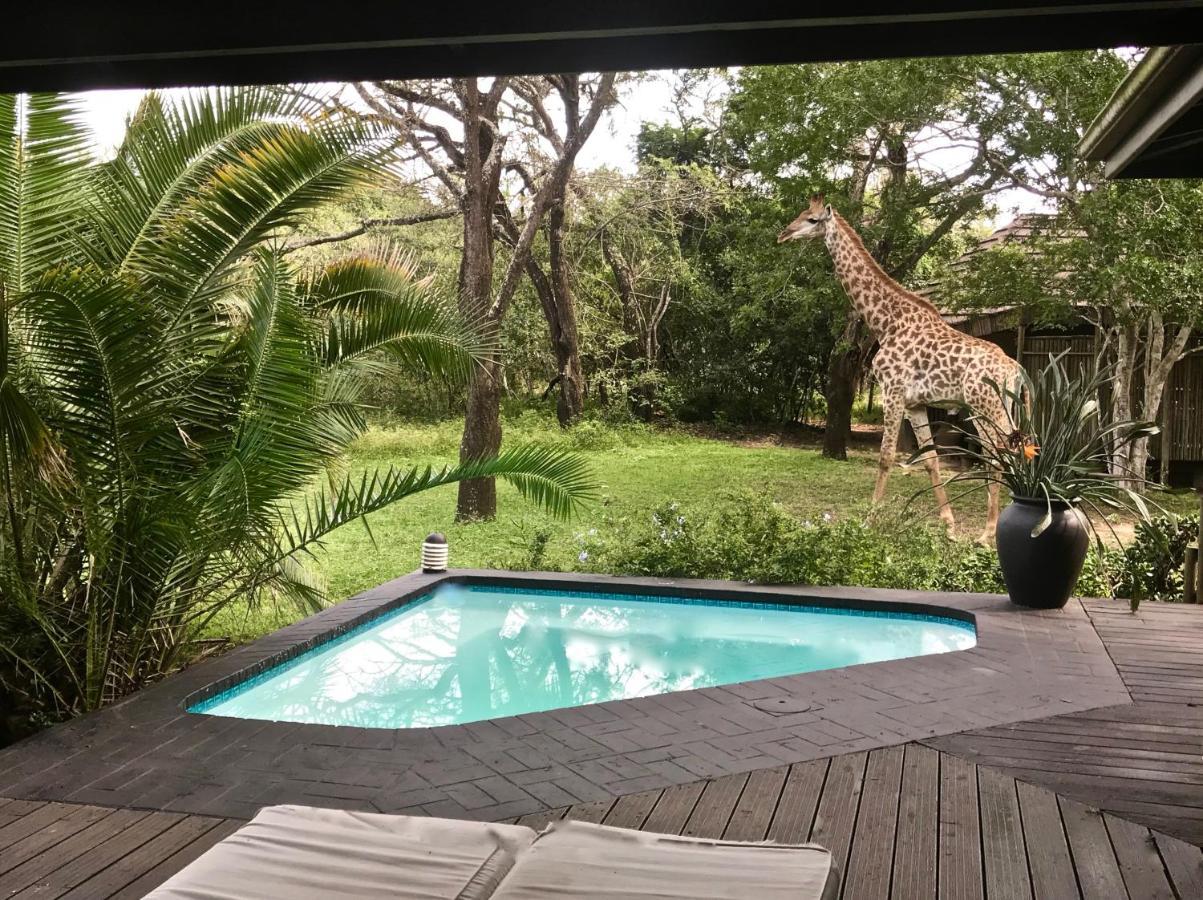 Imani Bush House & Silver Sky Chalet Hluhluwe Bagian luar foto