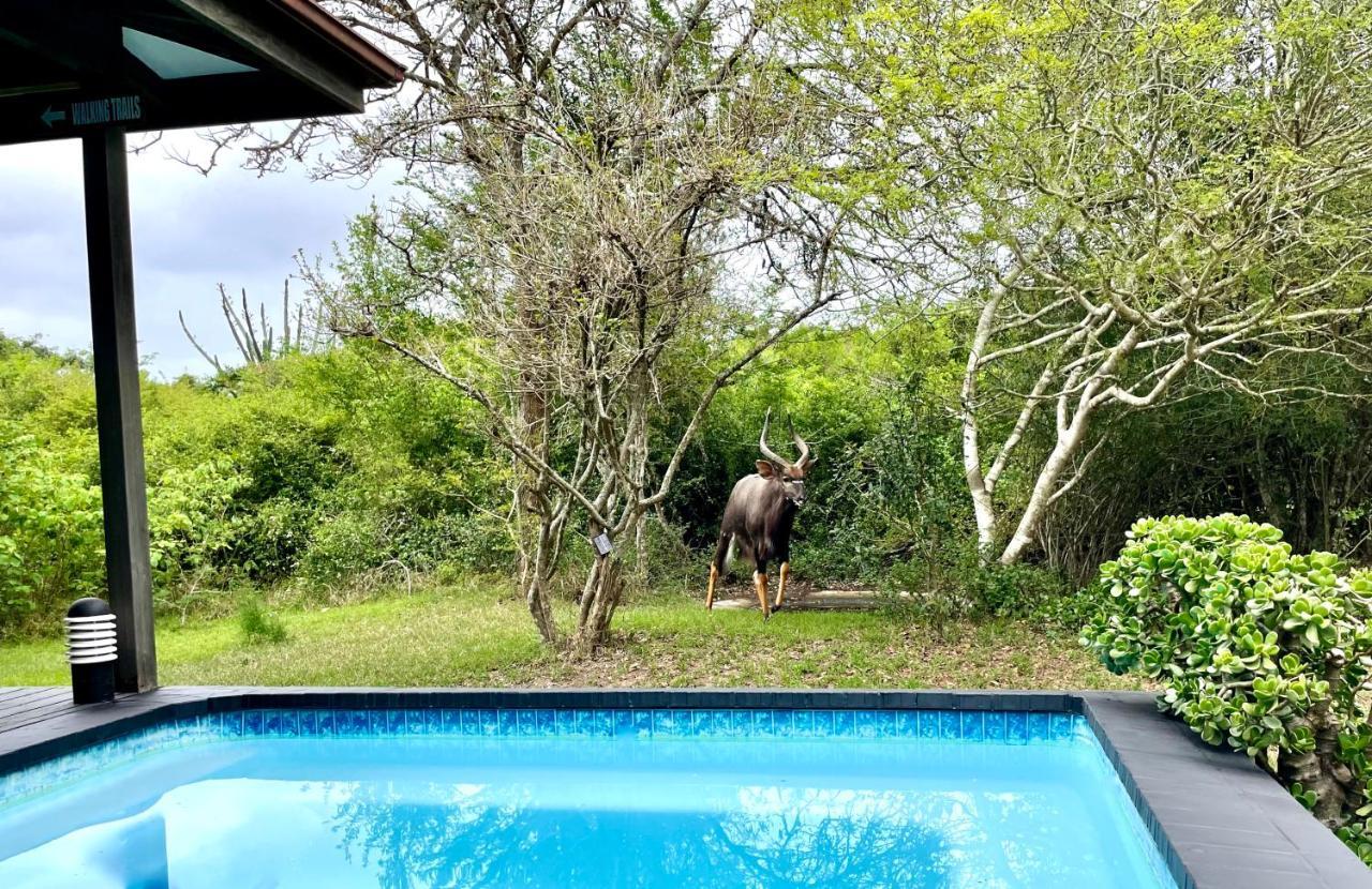 Imani Bush House & Silver Sky Chalet Hluhluwe Bagian luar foto
